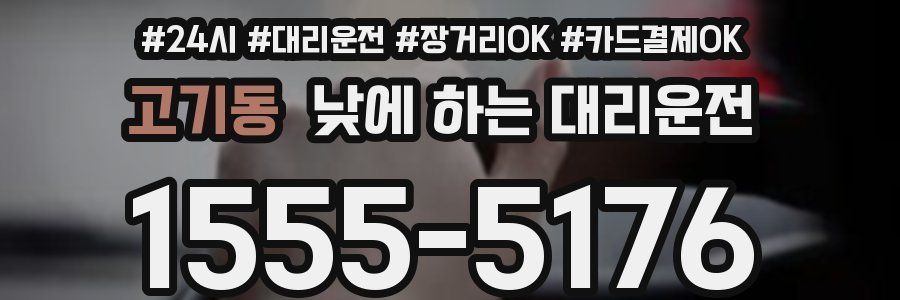고기동 낮에 하는 대리운전