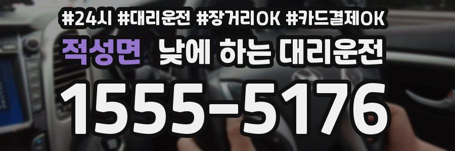 적성면 낮에 하는 대리운전