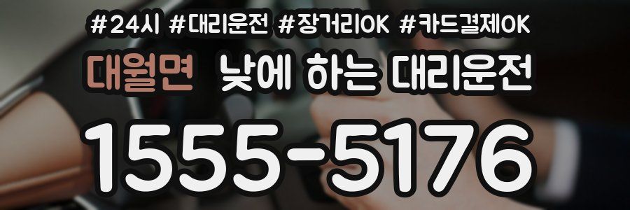 대월면 낮에 하는 대리운전