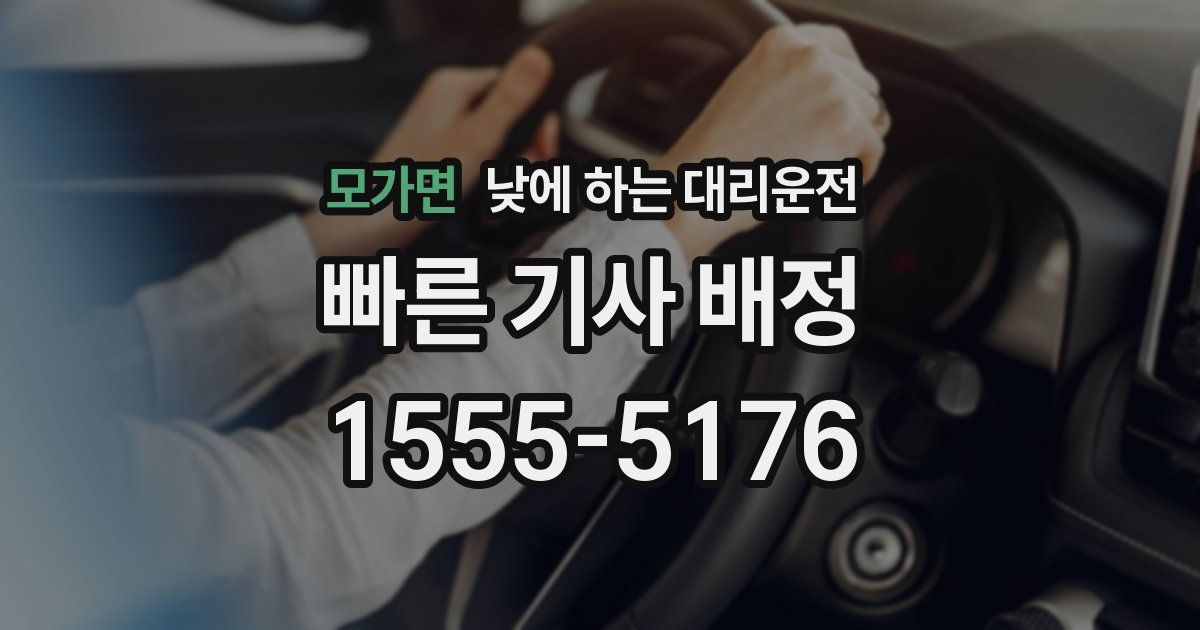 모가면 낮에 하는 대리운전
