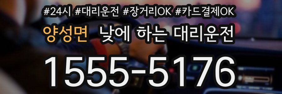 양성면 낮에 하는 대리운전