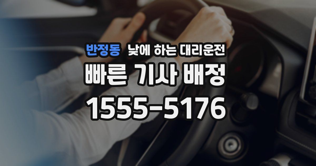 반정동 낮에 하는 대리운전