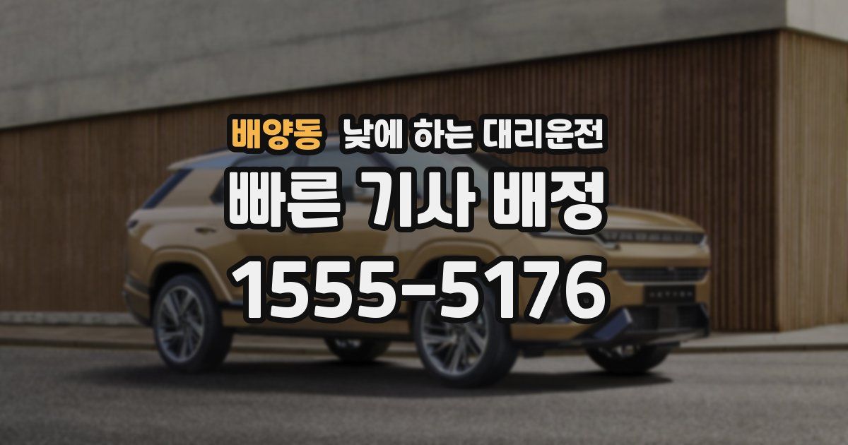 배양동 낮에 하는 대리운전