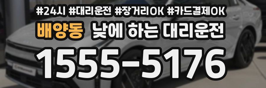 배양동 낮에 하는 대리운전