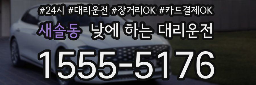 새솔동 낮에 하는 대리운전