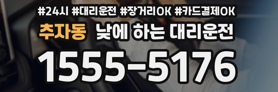 추자동 낮에 하는 대리운전
