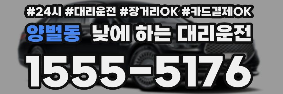 양벌동 낮에 하는 대리운전