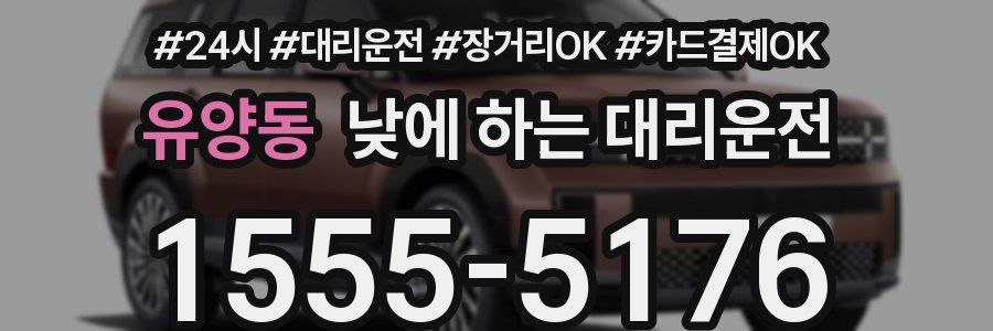 유양동 낮에 하는 대리운전
