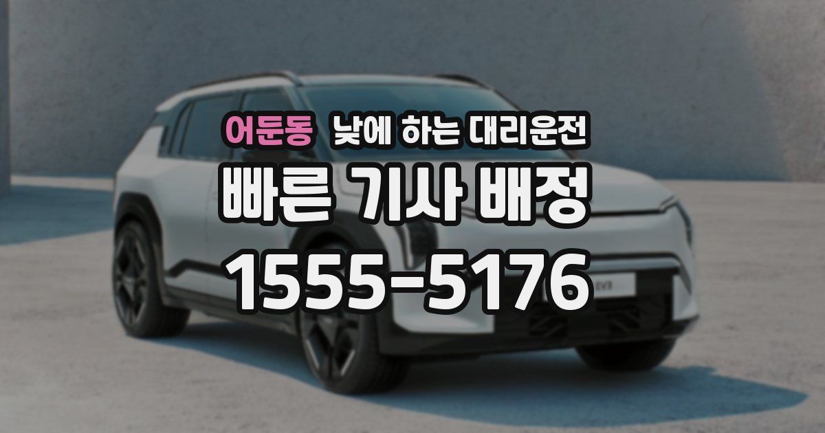어둔동 낮에 하는 대리운전