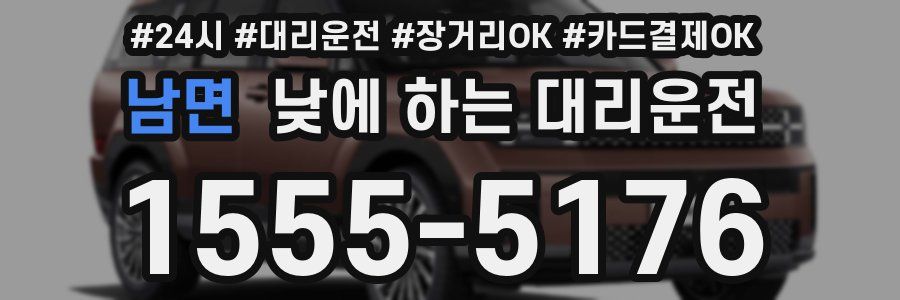 남면 낮에 하는 대리운전