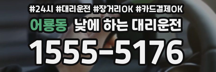 어룡동 낮에 하는 대리운전