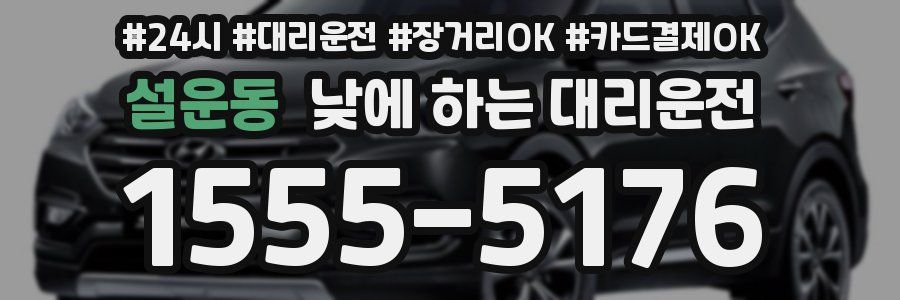 설운동 낮에 하는 대리운전