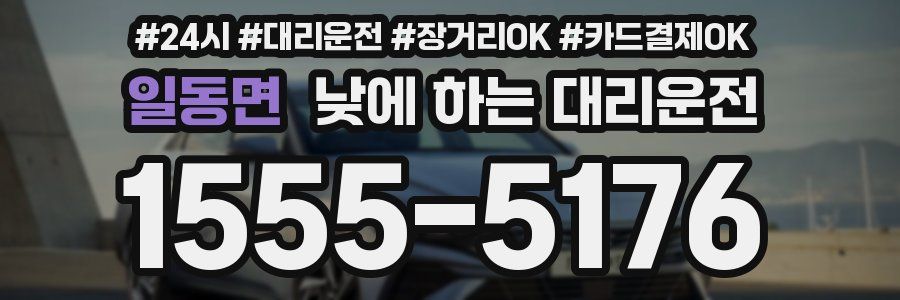 일동면 낮에 하는 대리운전