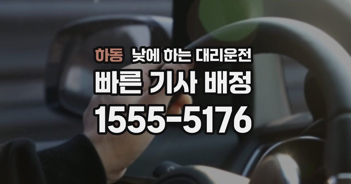 하동 낮에 하는 대리운전