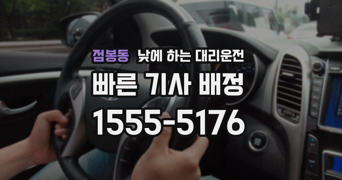 점봉동 낮에 하는 대리운전