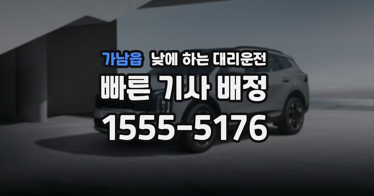 가남읍 낮에 하는 대리운전