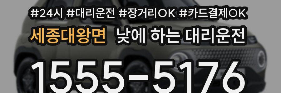 세종대왕면 낮에 하는 대리운전