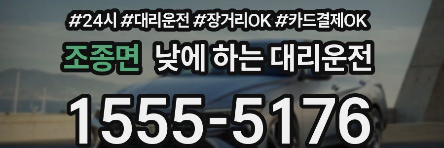 조종면 낮에 하는 대리운전