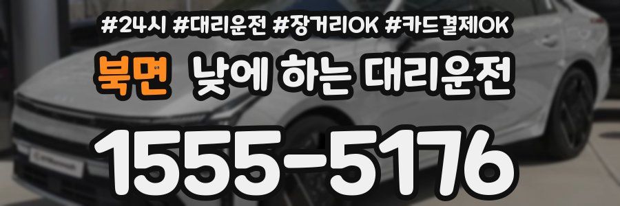 북면 낮에 하는 대리운전
