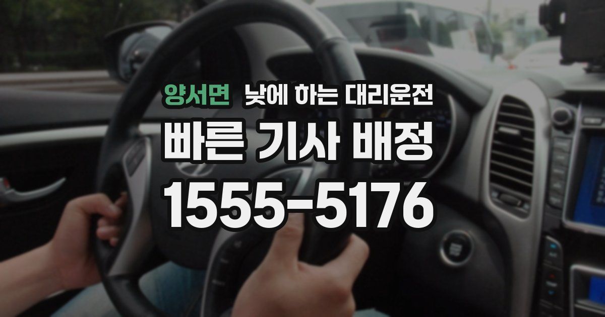 양서면 낮에 하는 대리운전