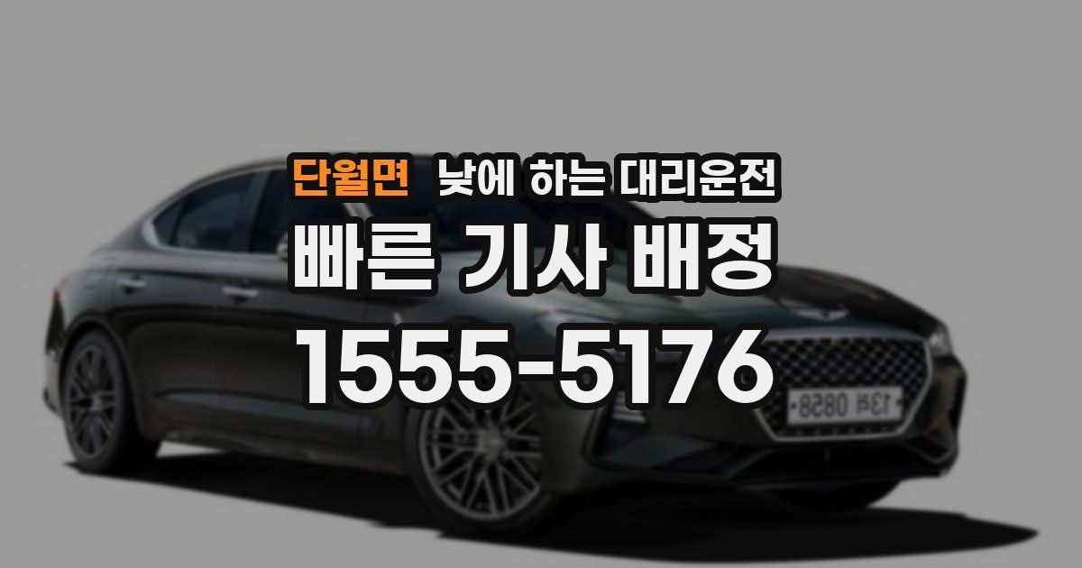 단월면 낮에 하는 대리운전