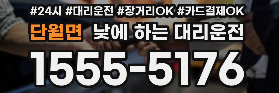 단월면 낮에 하는 대리운전