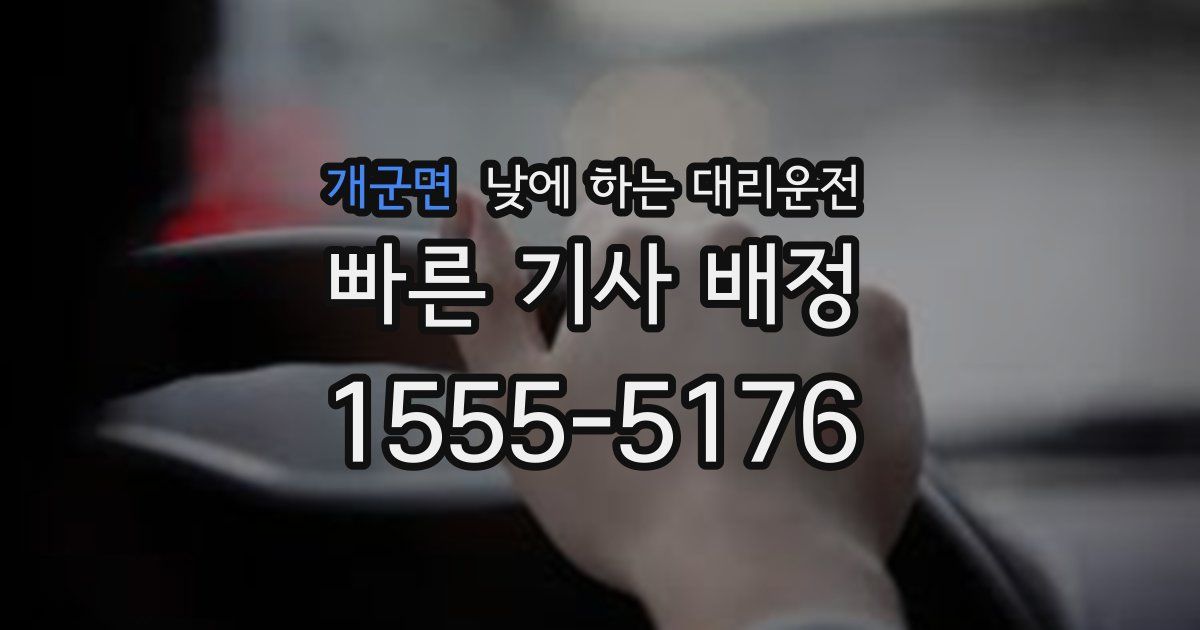 개군면 낮에 하는 대리운전