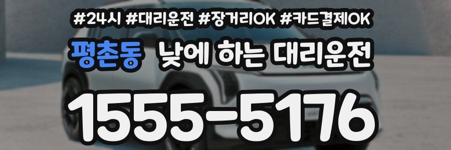 평촌동 낮에 하는 대리운전