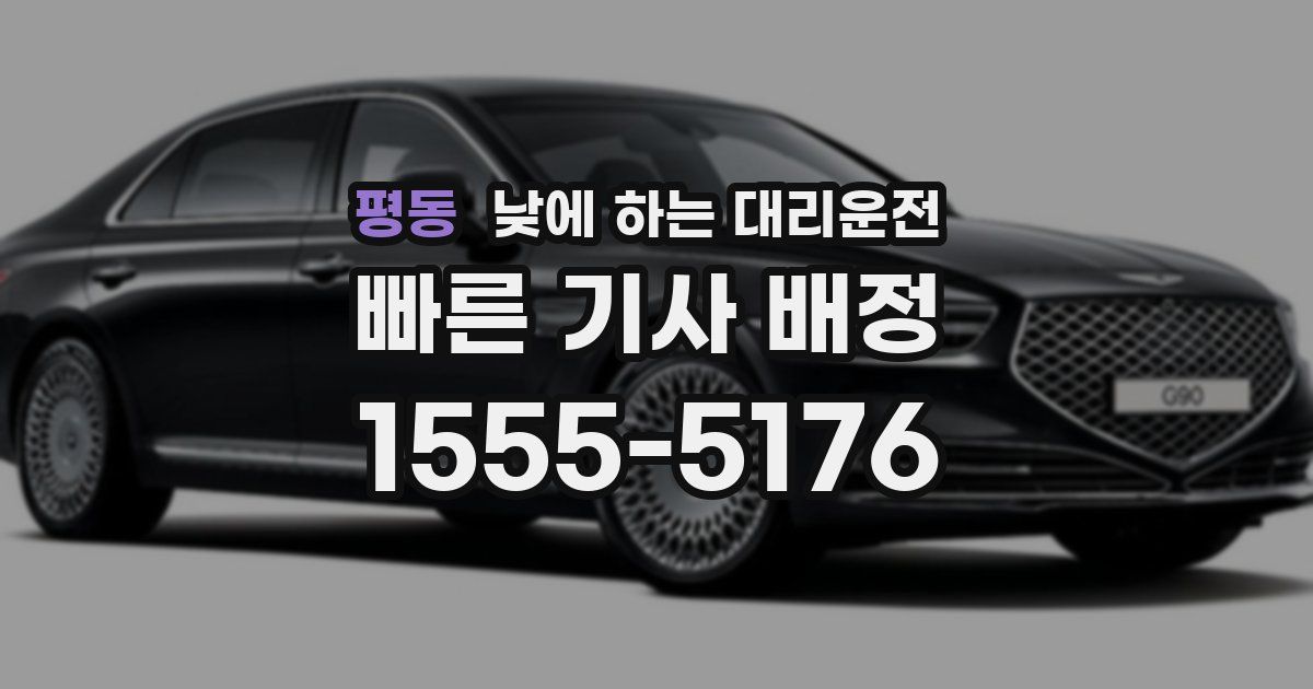 평동 낮에 하는 대리운전