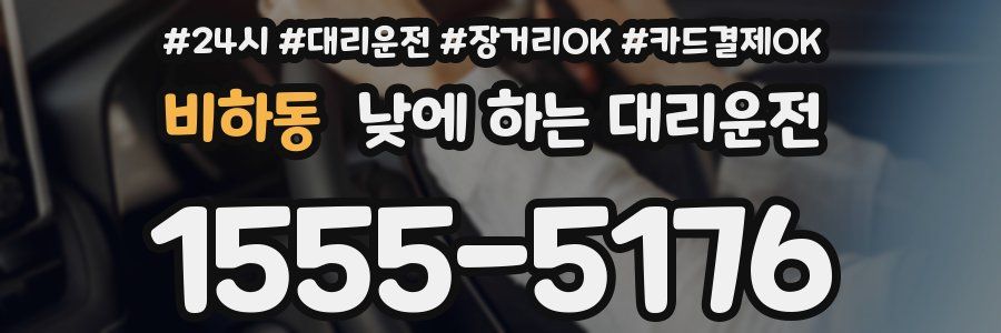 비하동 낮에 하는 대리운전