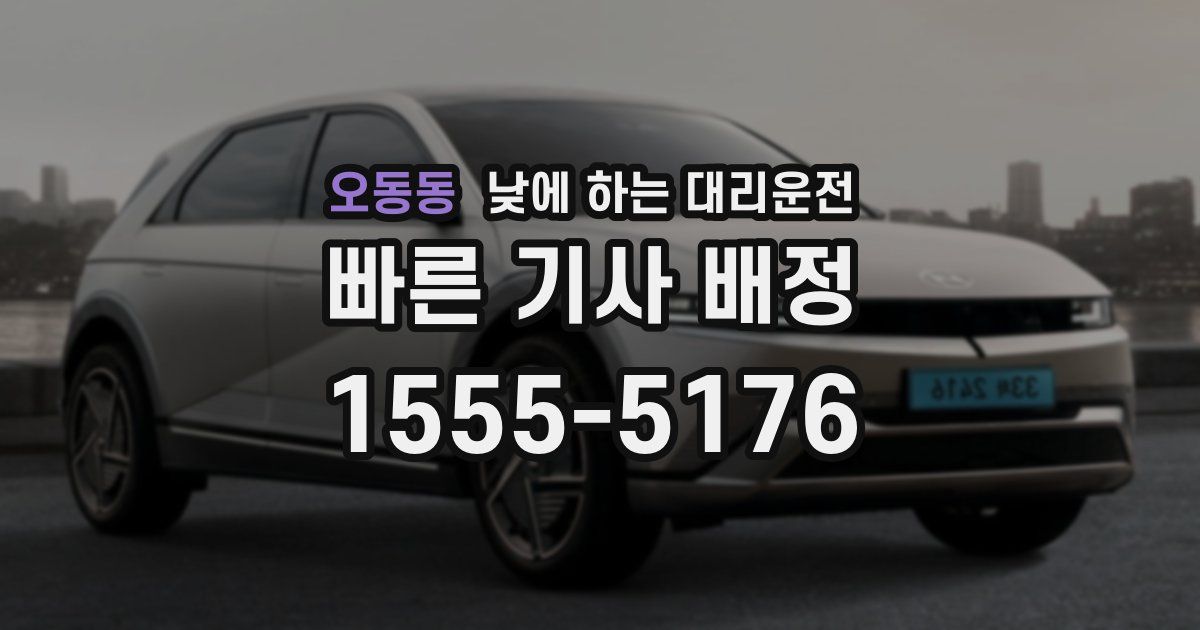 오동동 낮에 하는 대리운전