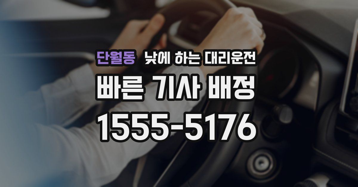 단월동 낮에 하는 대리운전