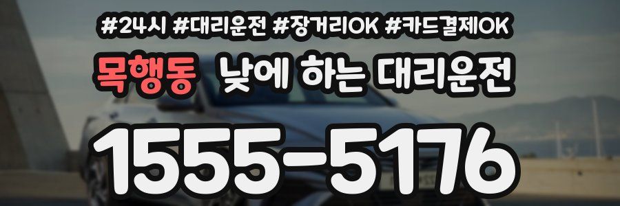 목행동 낮에 하는 대리운전