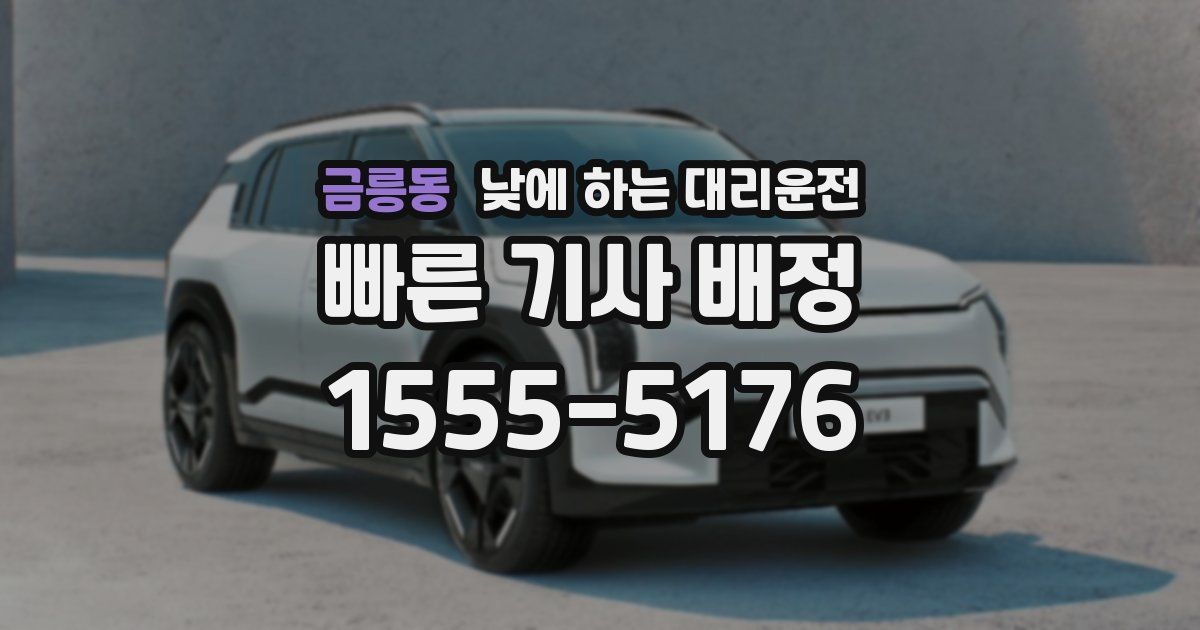 금릉동 낮에 하는 대리운전