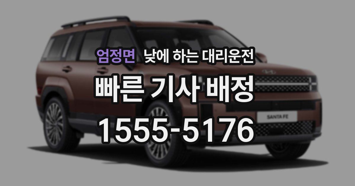 엄정면 낮에 하는 대리운전