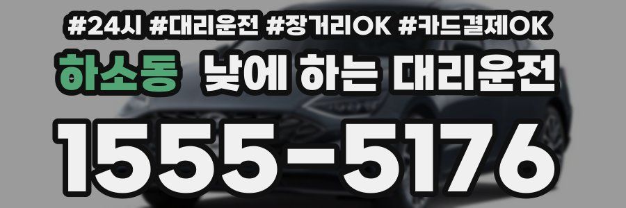 하소동 낮에 하는 대리운전
