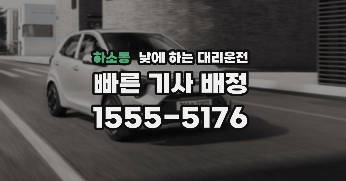 하소동 낮에 하는 대리운전