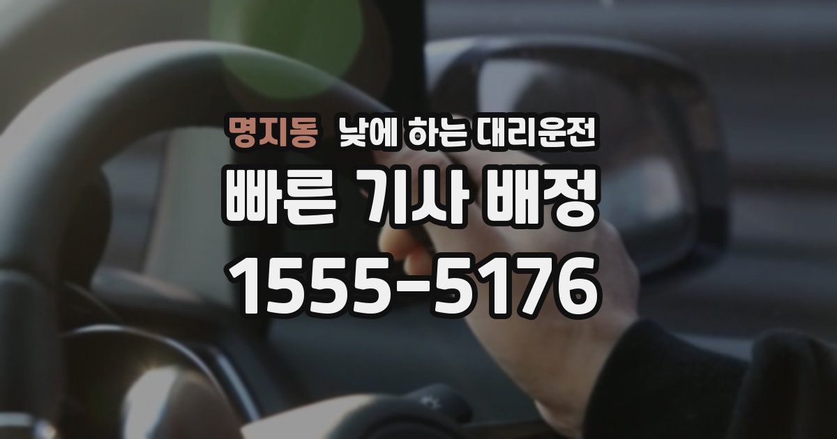 명지동 낮에 하는 대리운전