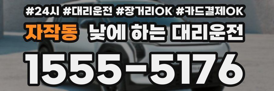 자작동 낮에 하는 대리운전