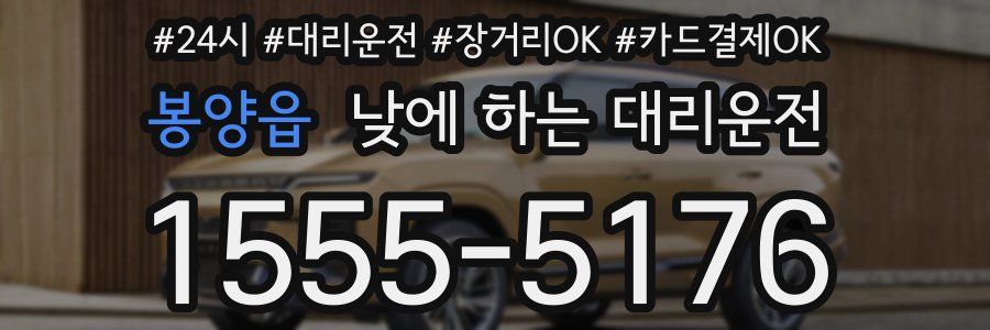 봉양읍 낮에 하는 대리운전