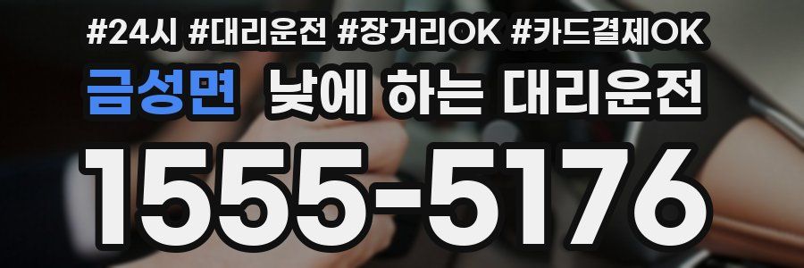 금성면 낮에 하는 대리운전