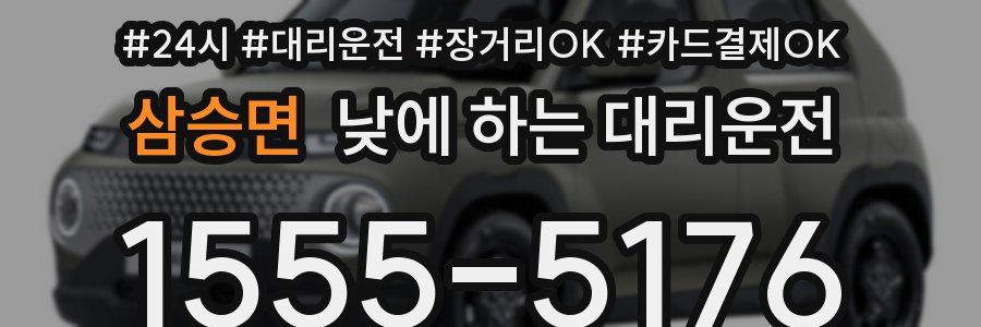 삼승면 낮에 하는 대리운전