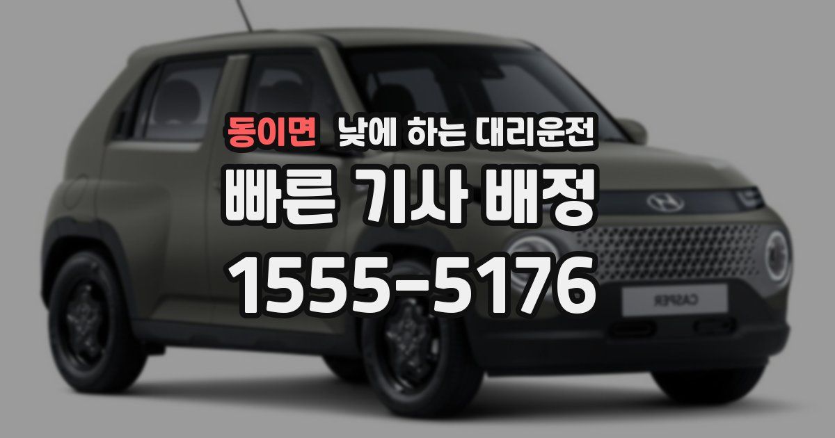 동이면 낮에 하는 대리운전