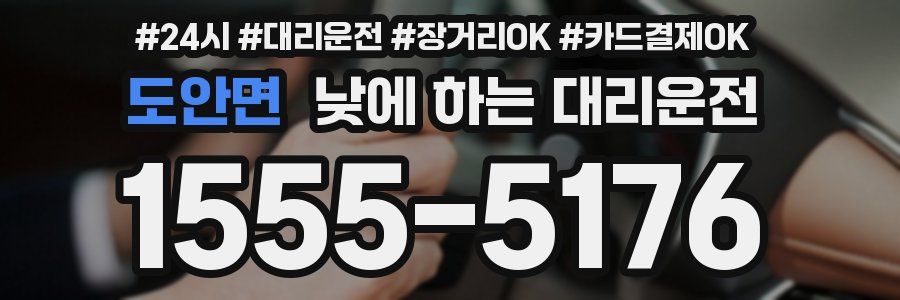 도안면 낮에 하는 대리운전