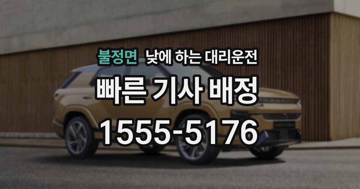 불정면 낮에 하는 대리운전