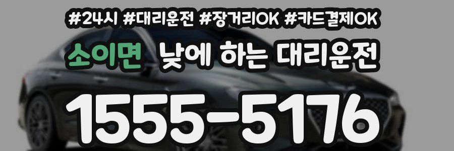 소이면 낮에 하는 대리운전