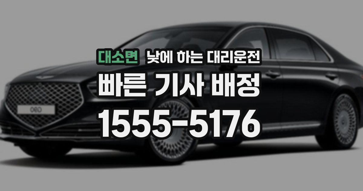 대소면 낮에 하는 대리운전
