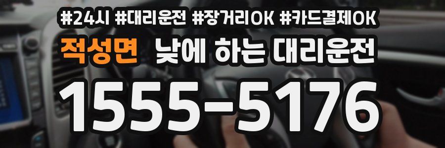 적성면 낮에 하는 대리운전