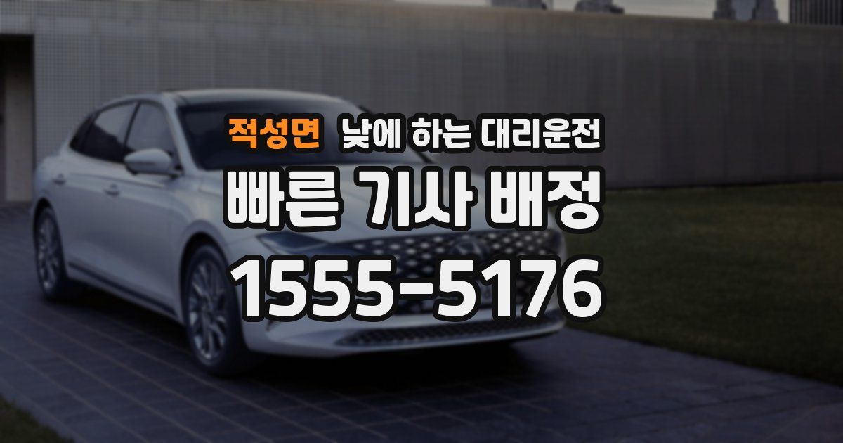 적성면 낮에 하는 대리운전
