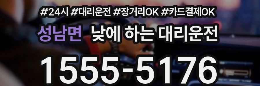성남면 낮에 하는 대리운전